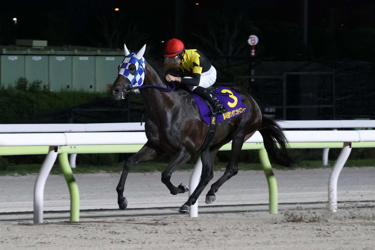 直線で抜け出しサンタアニタTを制したランリョウオーと本橋孝太騎手