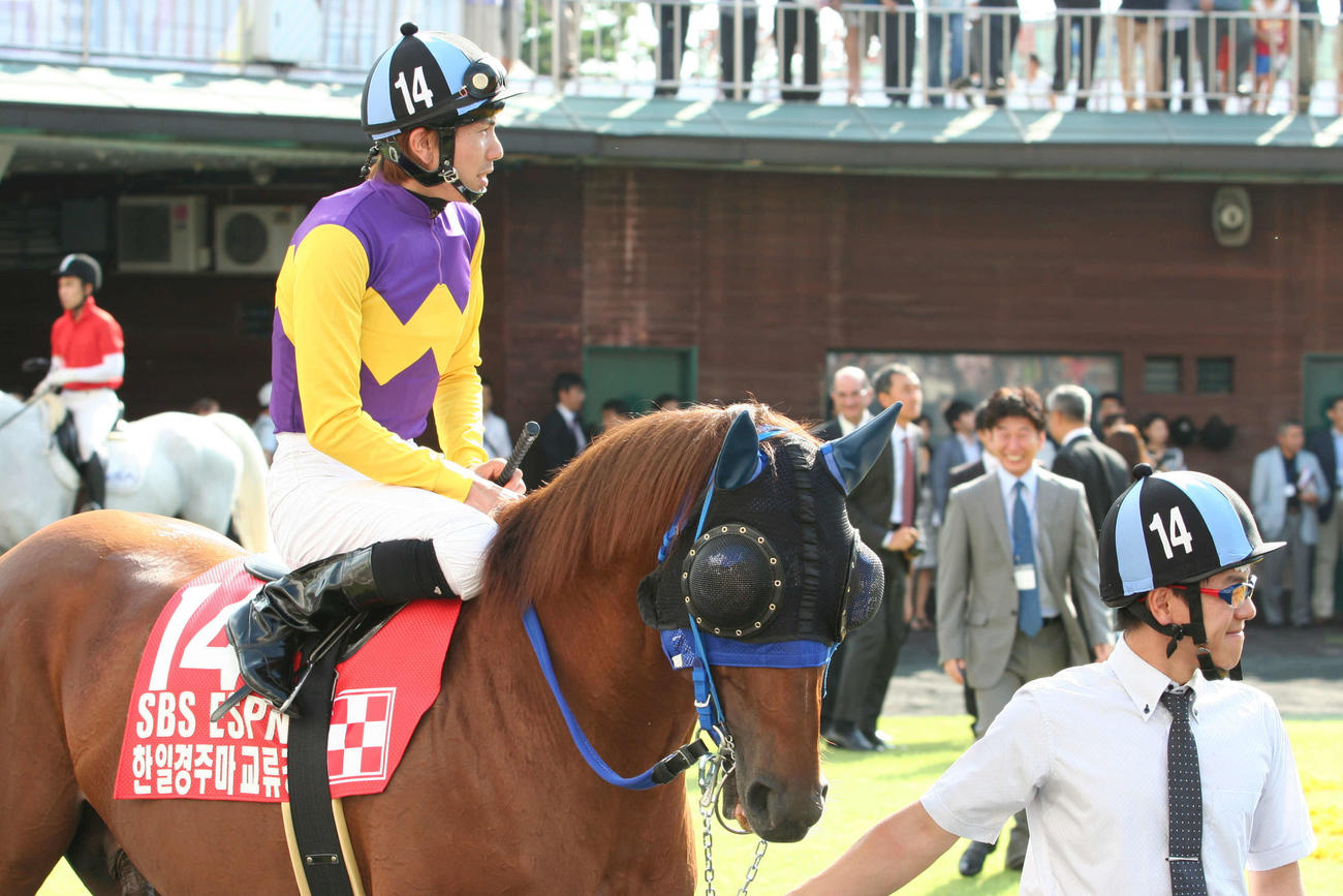 13年9月、パドックを周回するファイナルスコアーと同馬に歩み寄る荒山調教師