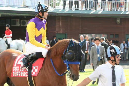 13年9月、パドックを周回するファイナルスコアーと同馬に歩み寄る荒山調教師