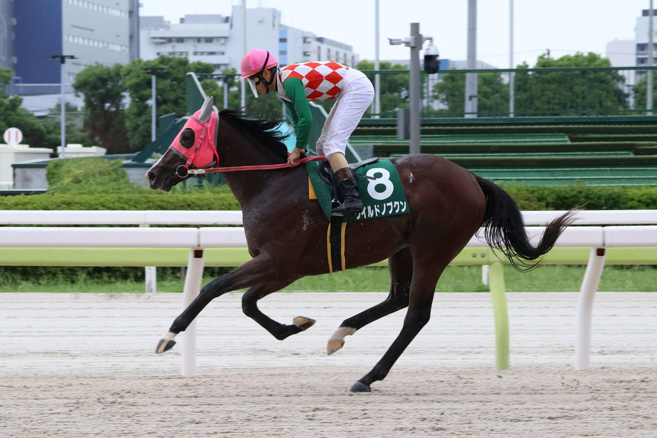 11日、大井4R・2歳新馬で6着のワイルドノブクンと矢野騎手