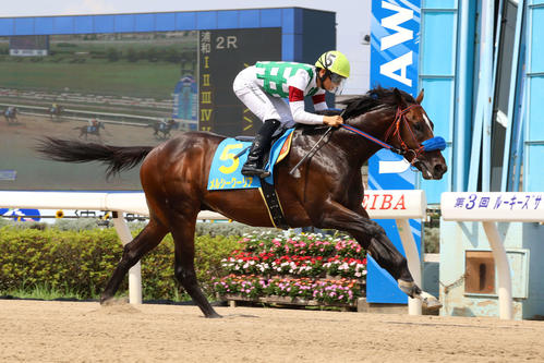 18日、浦和2R・ドリームチャレンジ（2歳新馬）　直線で抜け出し新馬戦を制したメルシークーリア