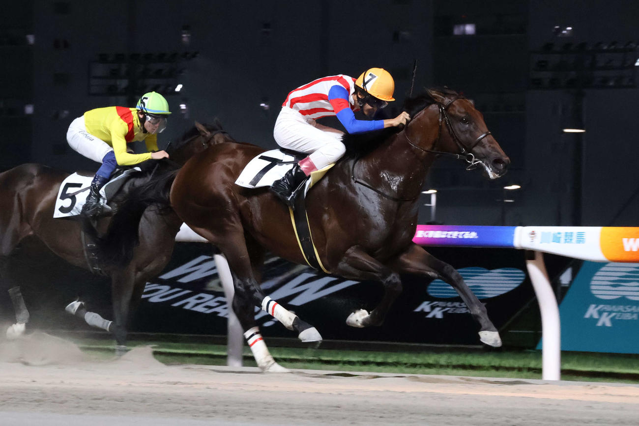 25日、8連勝で処暑特別を制したホッコーソムニウムと佐野遥久騎手