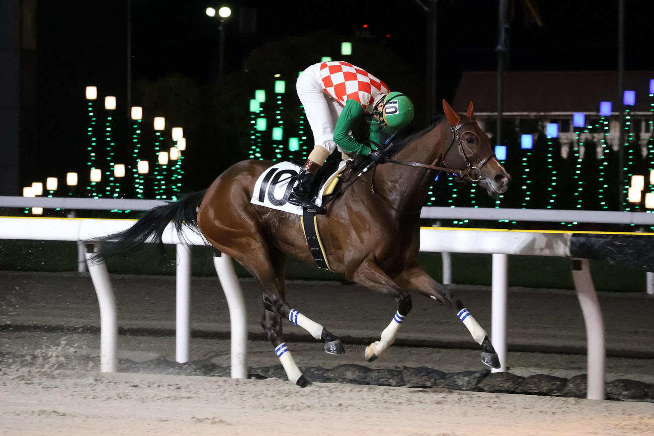 5月、JBCまであと180日記念を4馬身差で圧勝したザオ