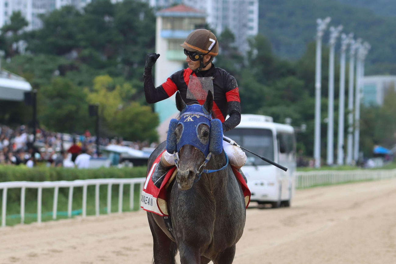 7日、コリアCのウイニングランでガッツポーズを見せる矢野貴之騎手とディクテオン