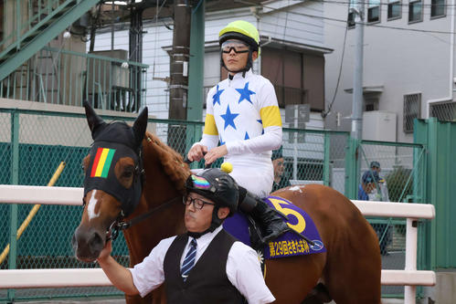 さきたま杯で本馬場に向かうムエックスと張田昂騎手