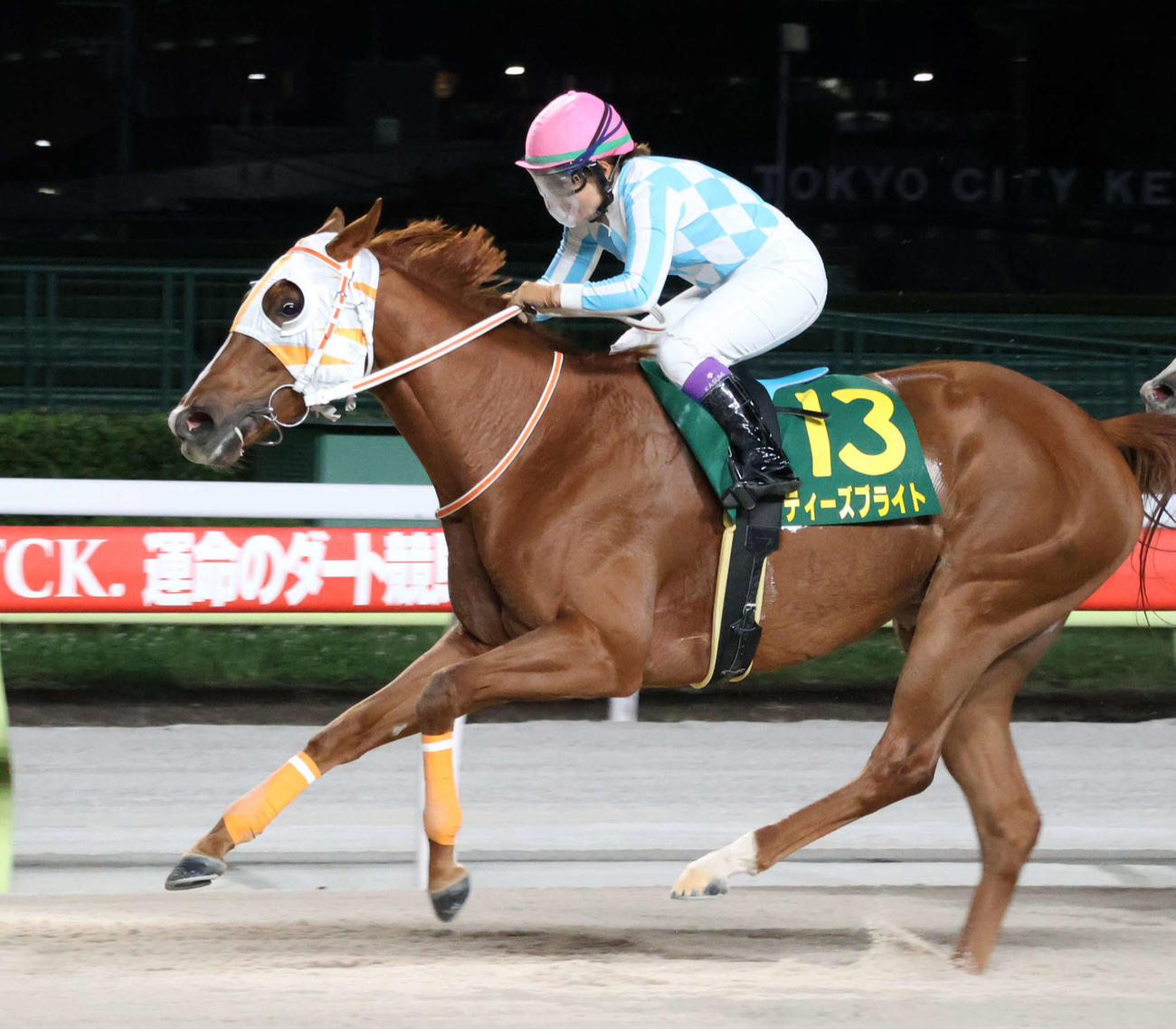 YJSトライアルラウンド大井第1戦を制したティーズブライトと神尾香澄騎手