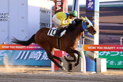 3日、直線で抜け出し青鵐特別を制したオリコウエルドラドと本田正重騎手