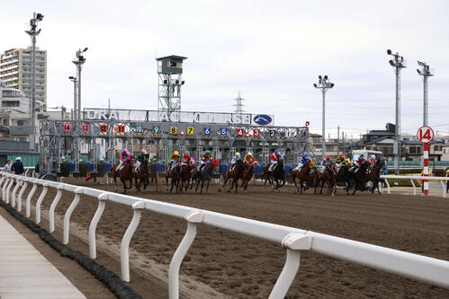 浦和8R・初音特別（C2一組）　浦和競馬場では初となる14頭立てで行われた初音特別のスタート直後＝2026年2月26日