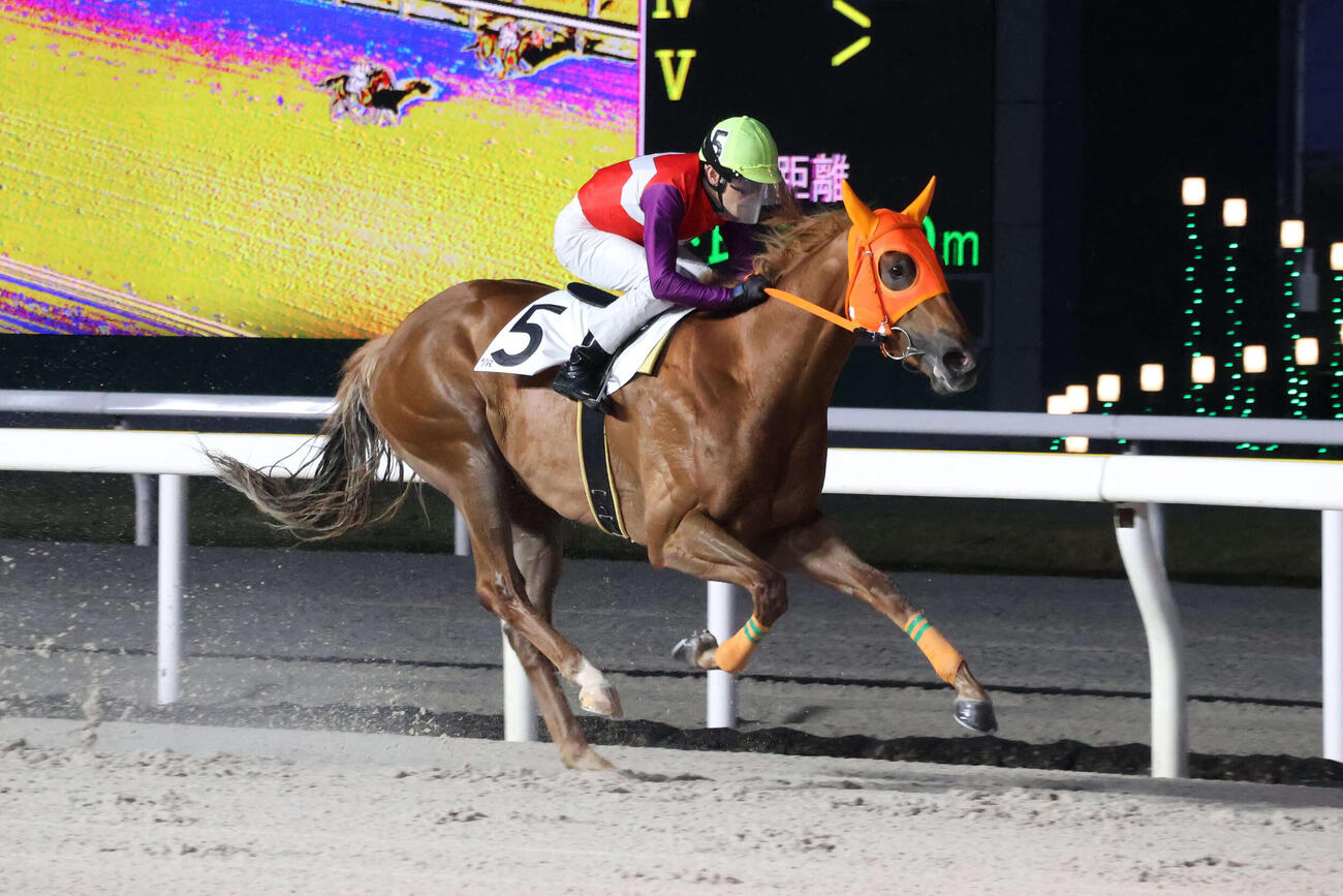 1日、2着に2馬身差の逃げ切りでチューリップ特別を制したニンゲンテイイナと和田譲治騎手