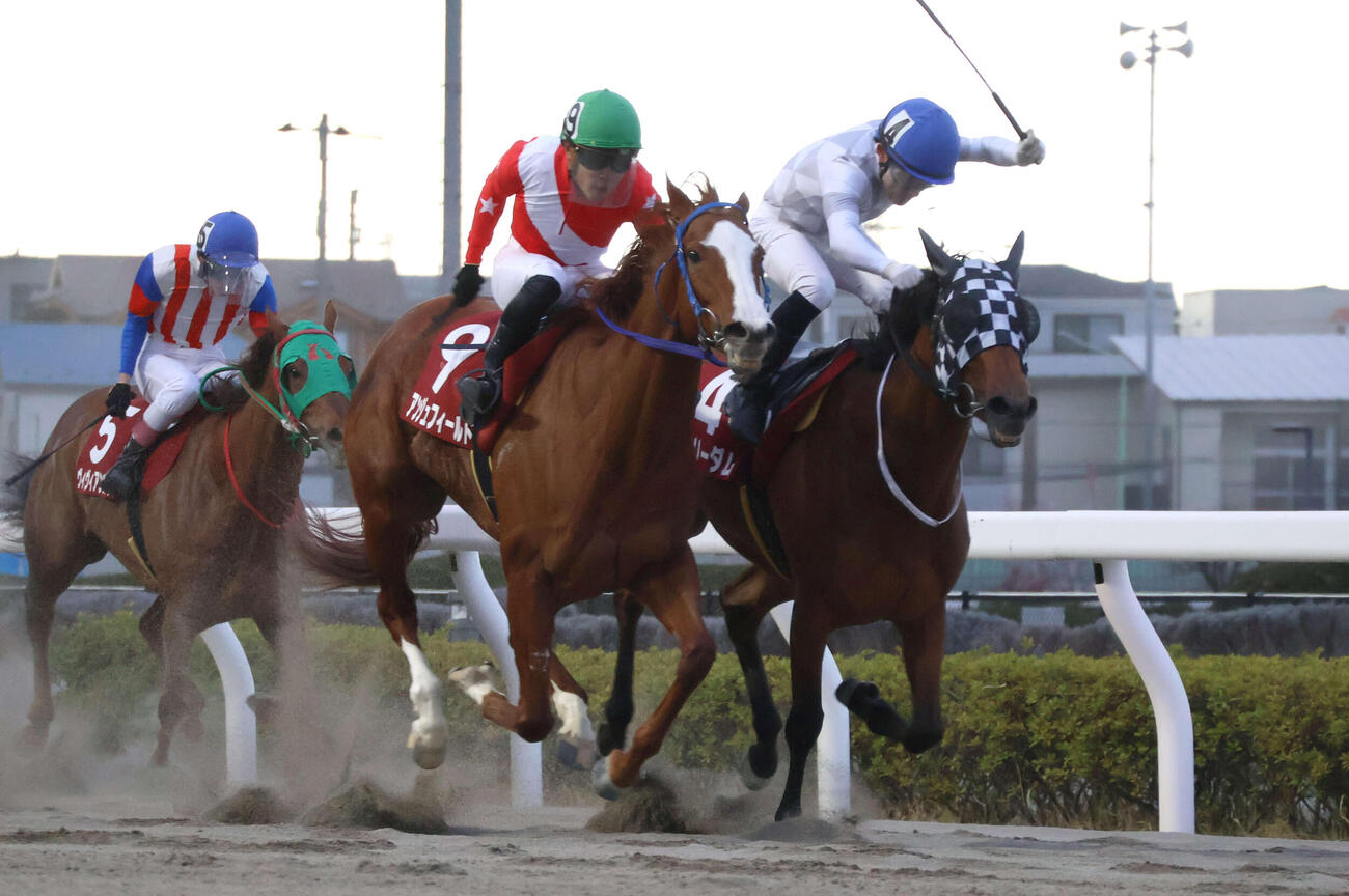 直線で粘るフリーダム（右）に頭差で競り勝ちティアラCを制したアンジュフィールドと野畑凌騎手（中央手前）＝2026年3月19日