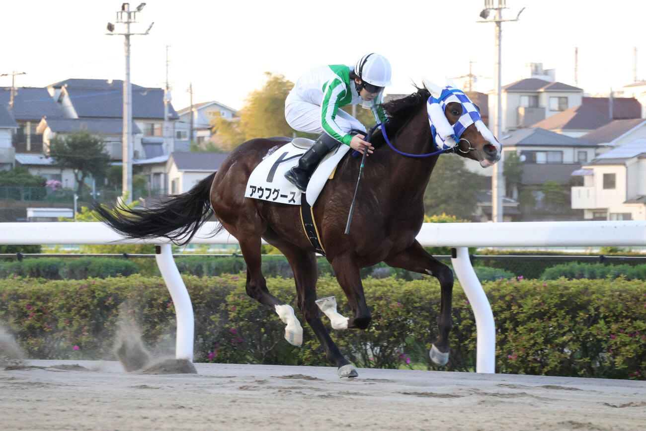 1馬身差で逃げ切りアヴニールスプリントを制したアウフグースと山中悠希騎手