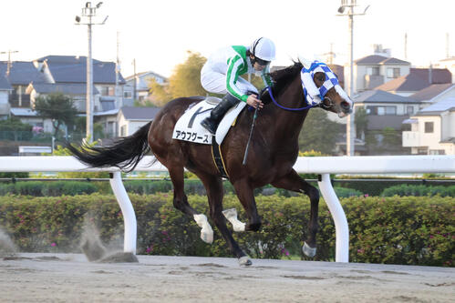 1馬身差で逃げ切りアヴニールスプリントを制したアウフグースと山中悠希騎手