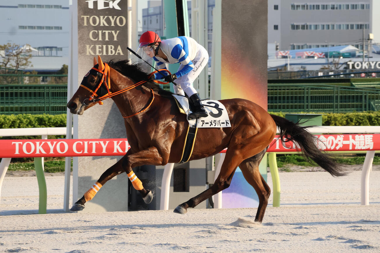 大井5R・3歳十三、十四組　前週の浦和で地方競馬ジョッキーズチャンピオンシップの出場権争いから一歩抜け出した浦和の中山遥人騎手は翌週の大井でアーメダバードを初勝利に導きデビューから64勝目を挙げた＝2026年3月23日