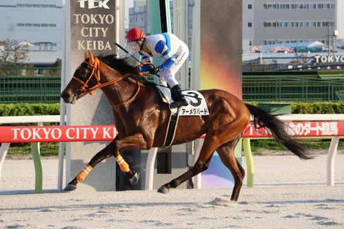 大井5R・3歳十三、十四組　前週の浦和で地方競馬ジョッキーズチャンピオンシップの出場権争いから一歩抜け出した浦和の中山遥人騎手は翌週の大井でアーメダバードを初勝利に導きデビューから64勝目を挙げた＝2026年3月23日