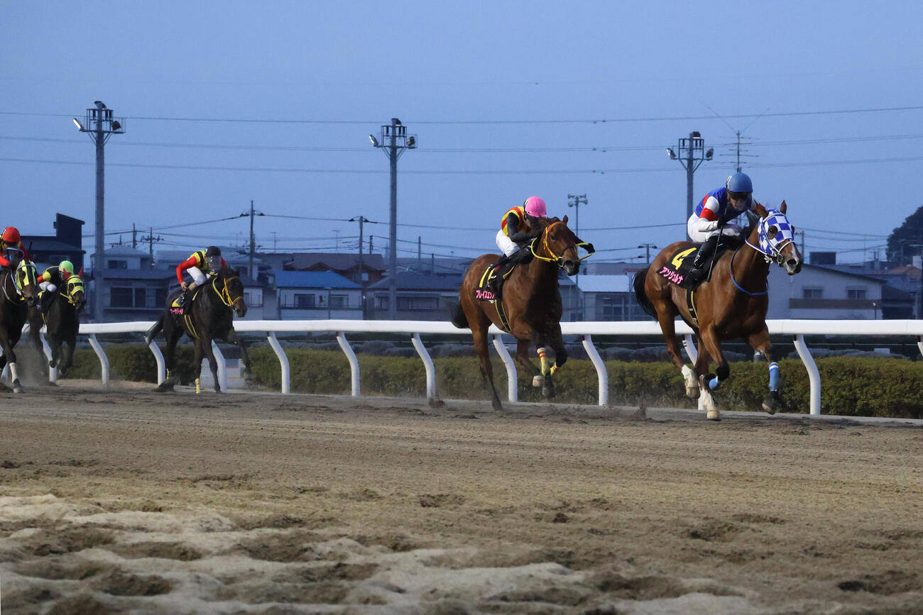 3月18日浦和11R・桜花賞（S1）　2着ブレイズエッジ（右から2頭目）に2馬身差で逃げ切り桜花賞を制したアンジュルナと野畑凌騎手（右端）