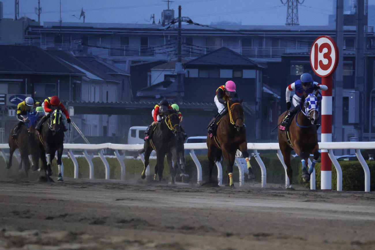 3月18日、浦和11R桜花賞（S1）　2着ブレイズエッジ（右から2頭目）に2馬身差で逃げ切り桜花賞を制したアンジュルナと野畑凌騎手（右端）