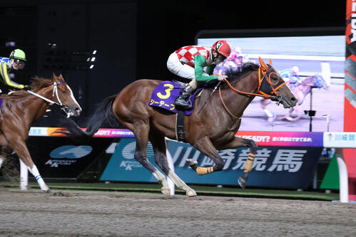 川崎11R・クラウンカップ（S3）　直線で差し切りクラウンCを制したシーテープと矢野貴之騎手＝2026年4月7日