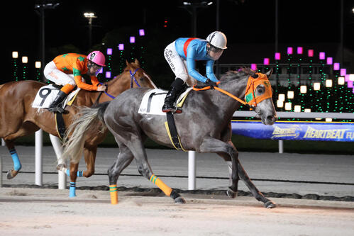 船橋10R・ヤマブキスプリント（3歳未格付）　2番手から直線で差し切りヤマブキスプリントを制したオルタスグロウと岡村健司騎手＝2026年5月4日
