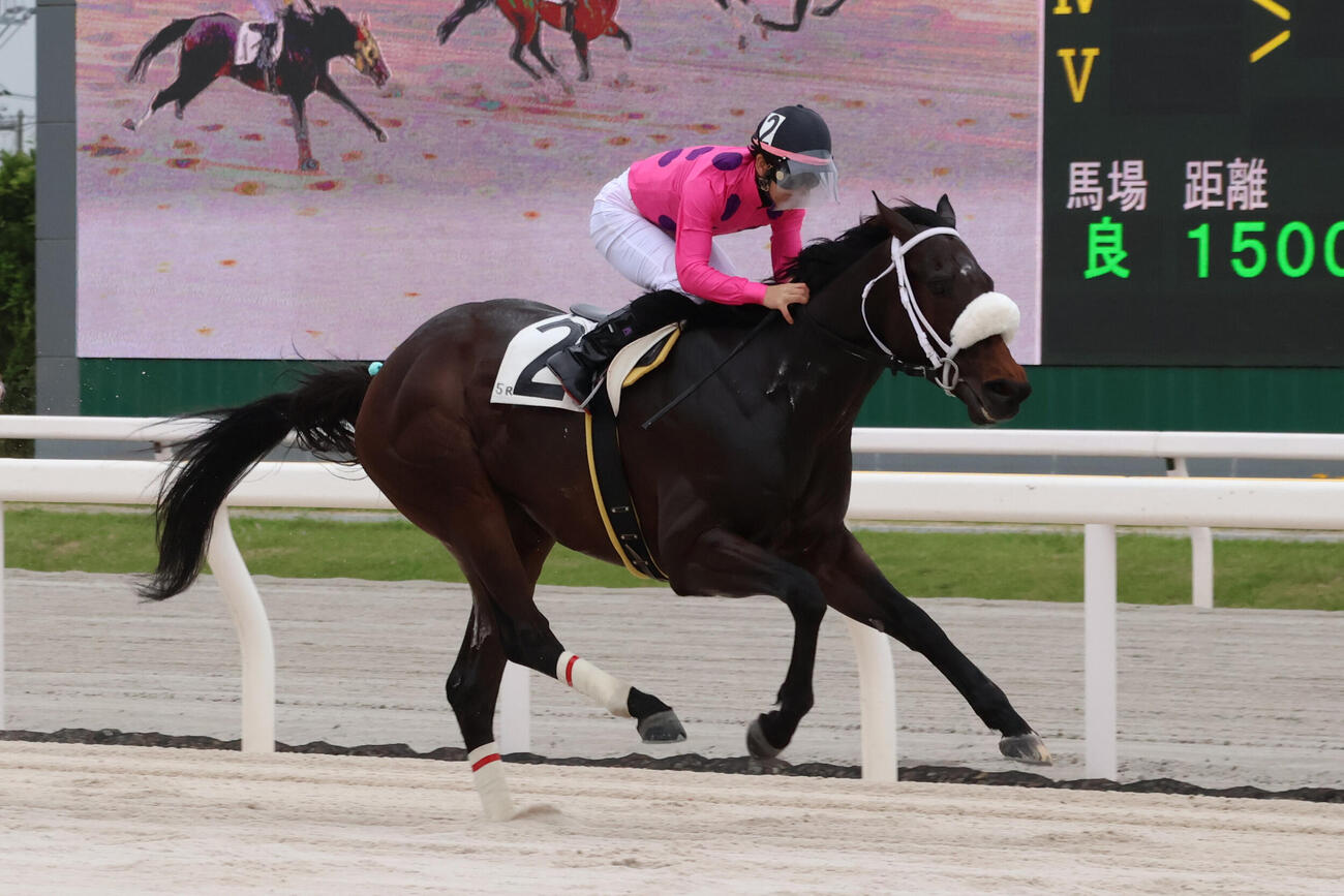 2着に3／4馬身差の逃げ切りでたんぽぽ特別を制したブラックエックスと西啓太騎手