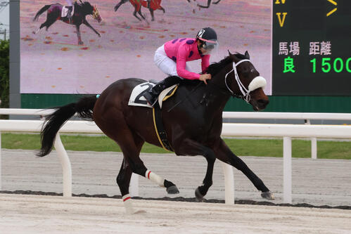 2着に3／4馬身差の逃げ切りでたんぽぽ特別を制したブラックエックスと西啓太騎手