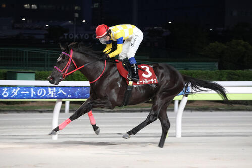 5月18日、3番手から直線で抜け出し東京ダービーチャレンジを制したロードルーチェと藤本現暉騎手