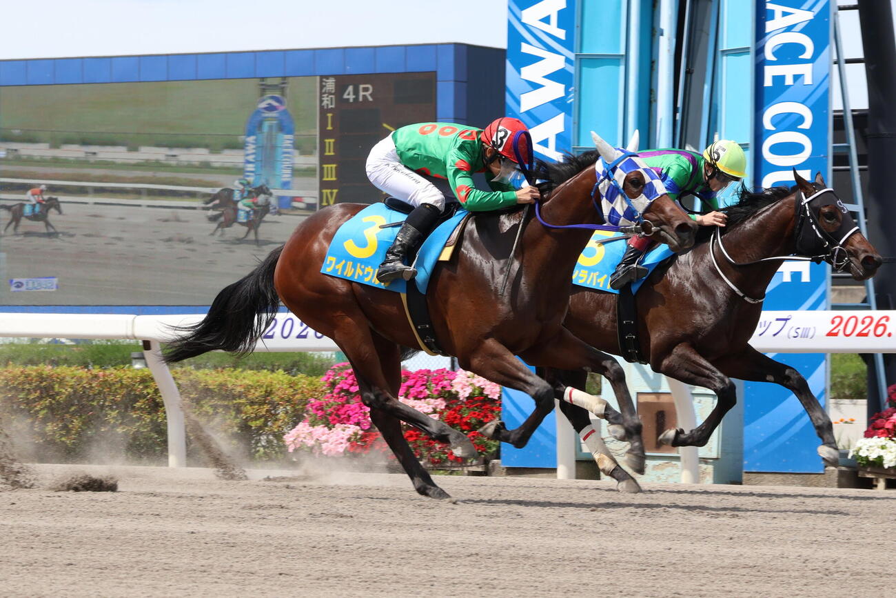 浦和4R・ドリームチャレンジ（2歳新馬）　ゴール前で差し切りデビュー戦を制したワイルドウルルと福原杏騎手（左手前）（2026年5月25日撮影）