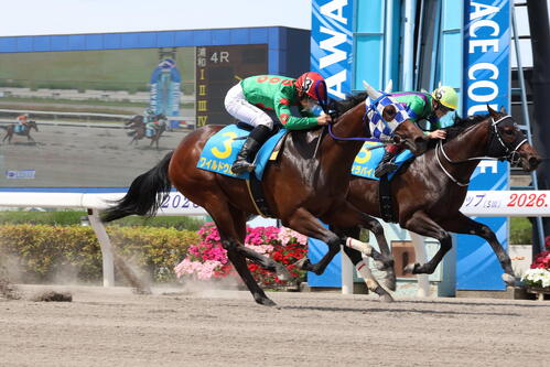 浦和4R・ドリームチャレンジ（2歳新馬）　ゴール前で差し切りデビュー戦を制したワイルドウルルと福原杏騎手（左手前）（2026年5月25日撮影）