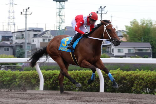 デビュー戦を5馬身差で快勝したフライトドクターと野畑凌騎手（2026年6月22日撮影）