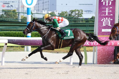 直線で抜け出し新馬戦を制したアドバンスミヤギと矢野貴之騎手