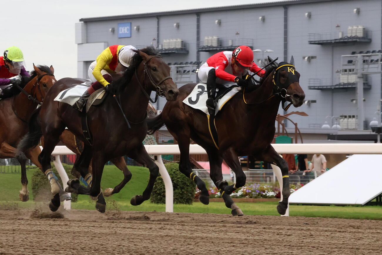 シャイニングスター賞を制したシゲキングと野畑凌騎手（右）