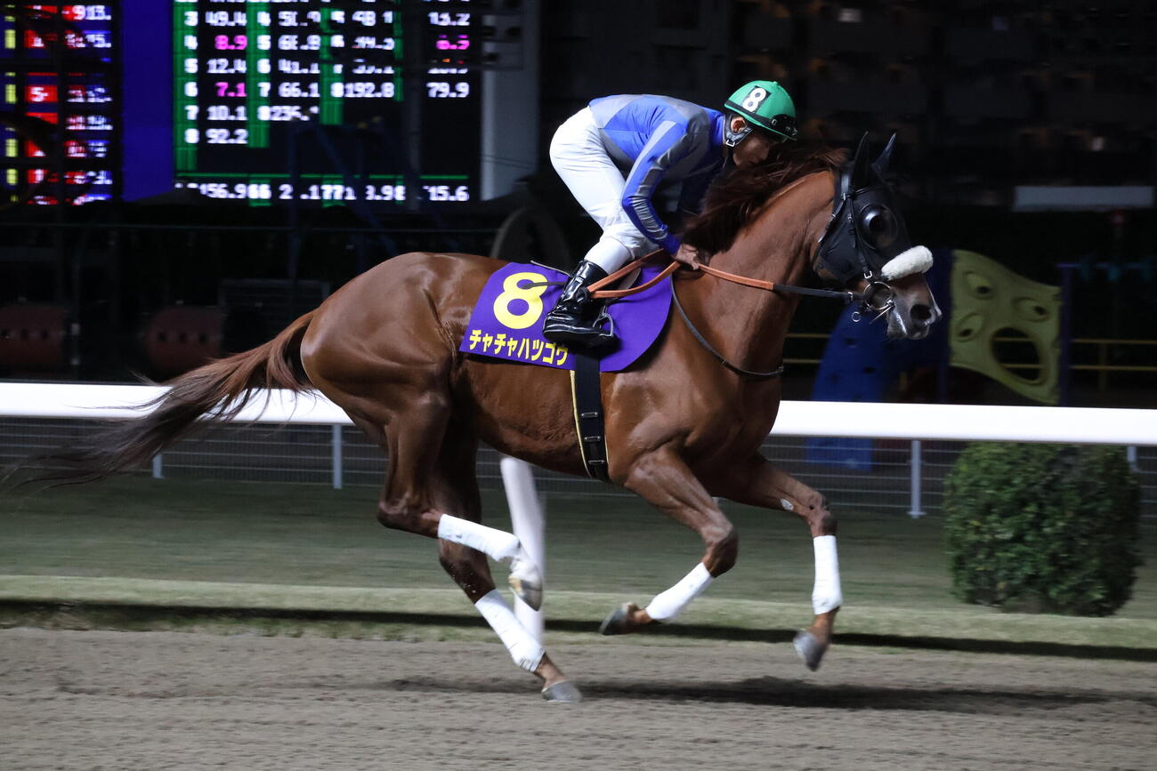 返し馬を行うチャチャハツゴウと新原周馬騎手