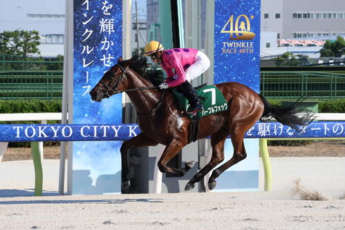 直線で抜け出し1分12秒6の好時計で新馬戦を制したパープルフォッグと西啓太騎手