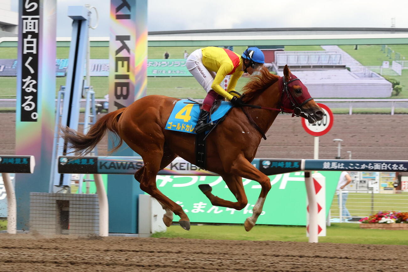 新馬戦2着のゴールドカレラと笹川翼騎手