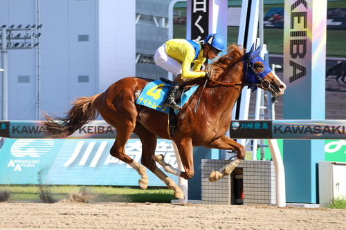 直線で抜け出し新馬戦を制したナイトムーブと本田正重騎手