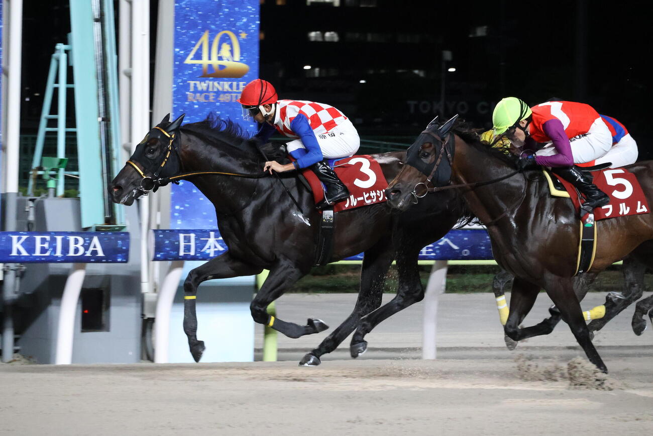 12日、武蔵野オープンを制したブルーヒサシンと藤田凌騎手（左）