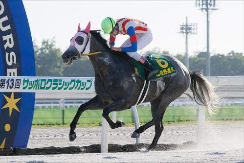 クインズメレンゲに騎乗してトライアルラウンド門別の第1戦を制した川崎の佐野遥久騎手（NAR提供）