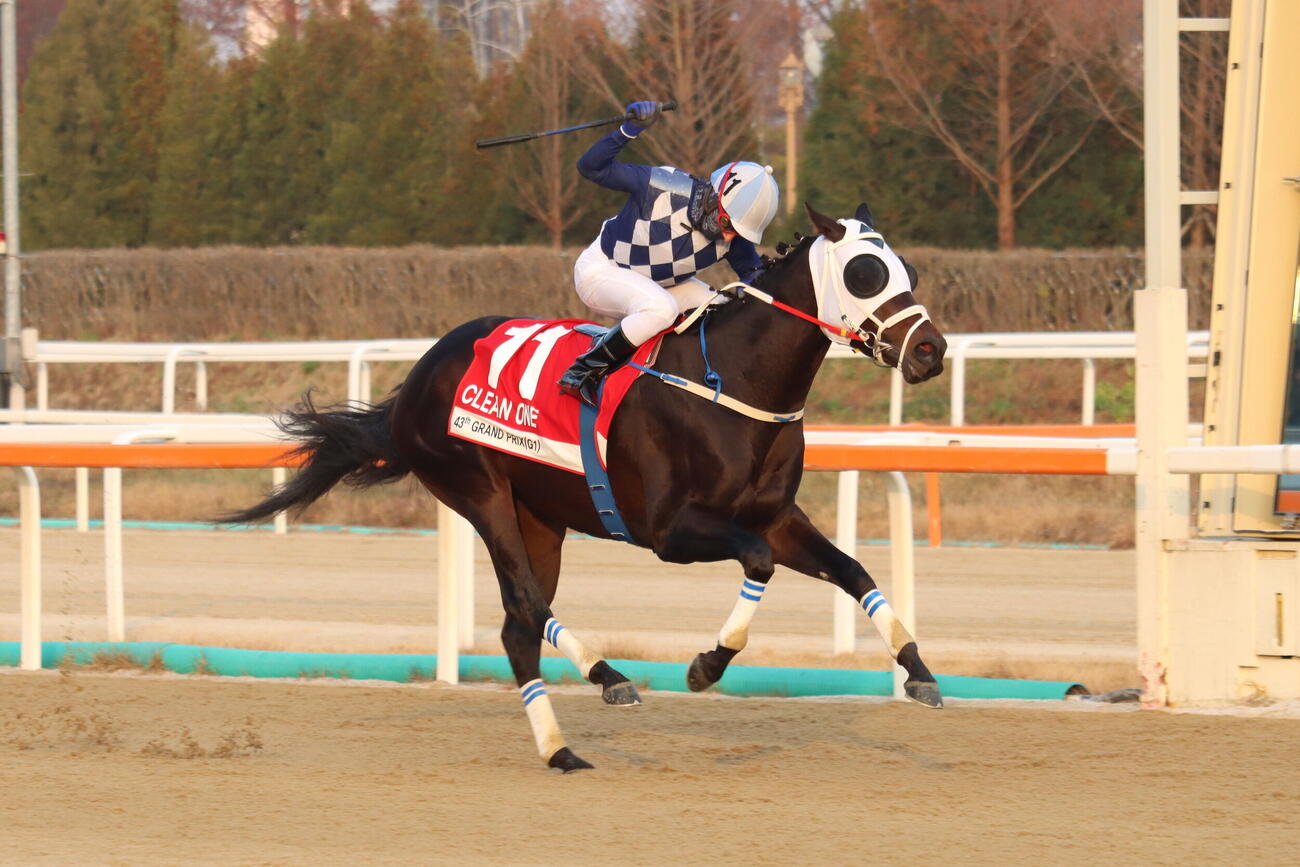 ソウル競馬場で行われたグランプリを制したクリーンワン