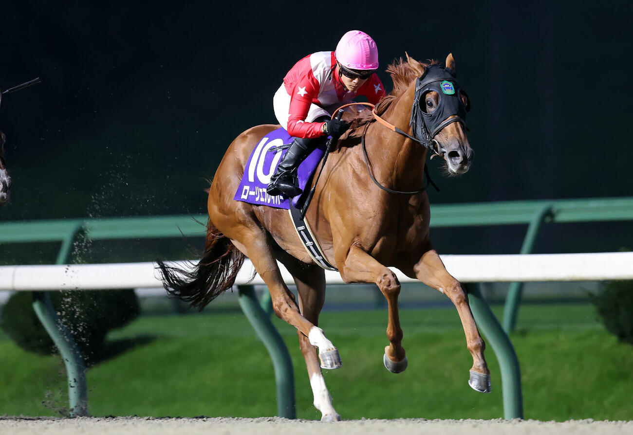 昨年のビューチフルドリーマーCを制したローリエフレイバーと野畑凌騎手（岩手県競馬組合提供）