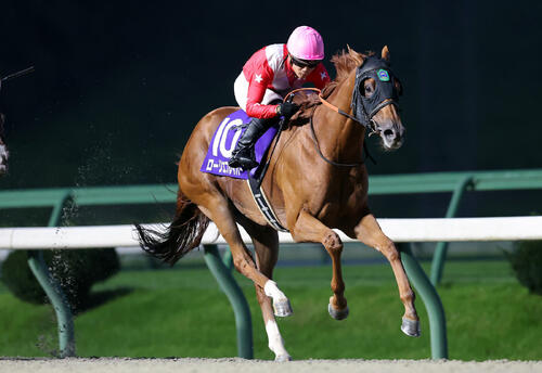 昨年のビューチフルドリーマーCを制したローリエフレイバーと野畑凌騎手（岩手県競馬組合提供）