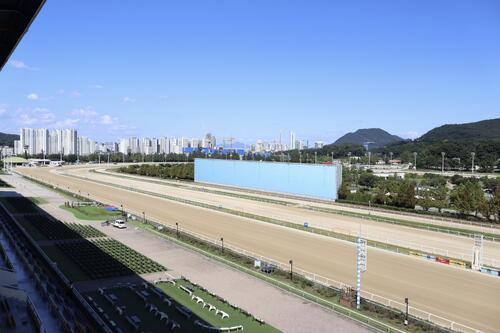 すっかり晴れた3日のソウル競馬場
