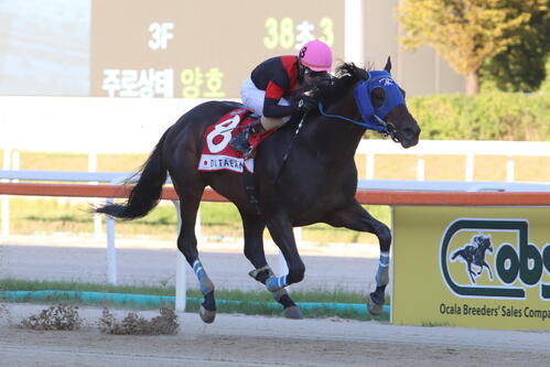 コリアCを制したディクテオンと矢野貴之騎手(2026年9月撮影)