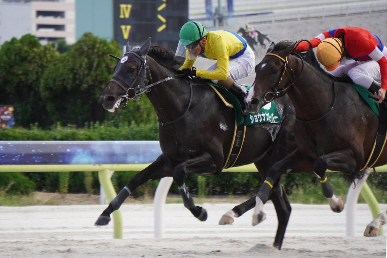 直線で競り勝ち新馬戦を制したショウナンハーバーと本田正重騎手（左）