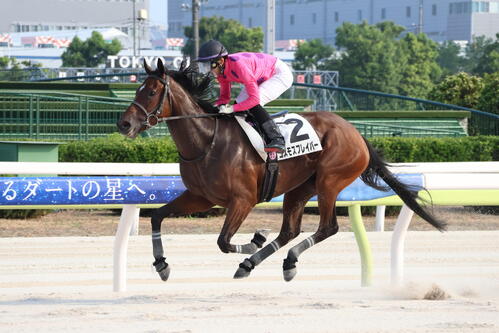 4番手追走から4角で先頭に立ち復帰戦を制したコスモスフレイバーと西啓太騎手