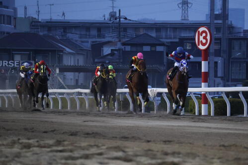 アンジュルナ（右端）が制した今年の桜花賞の直線