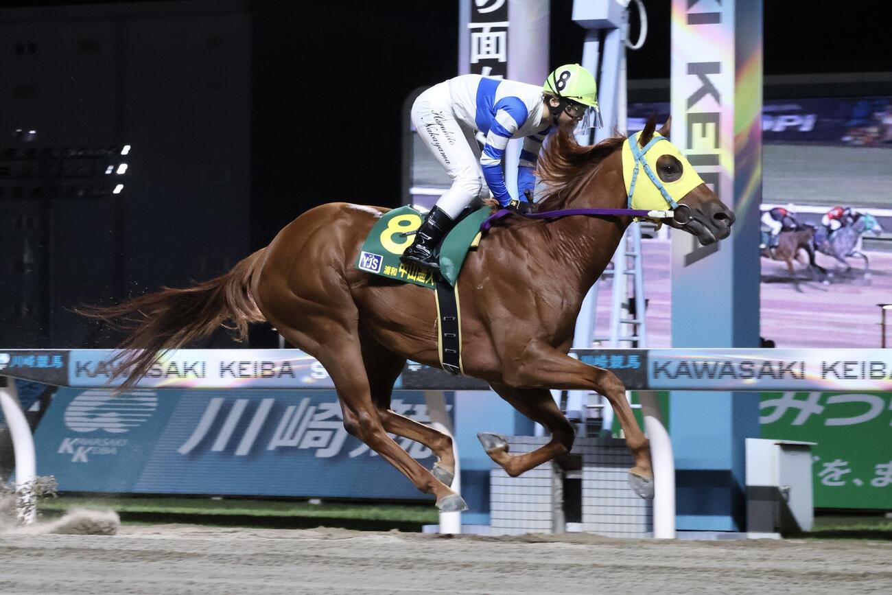 トライアルラウンド川崎第2戦を制したブルーオーシャンと中山遥人騎手