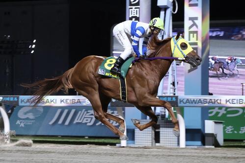 トライアルラウンド川崎第2戦を制したブルーオーシャンと中山遥人騎手
