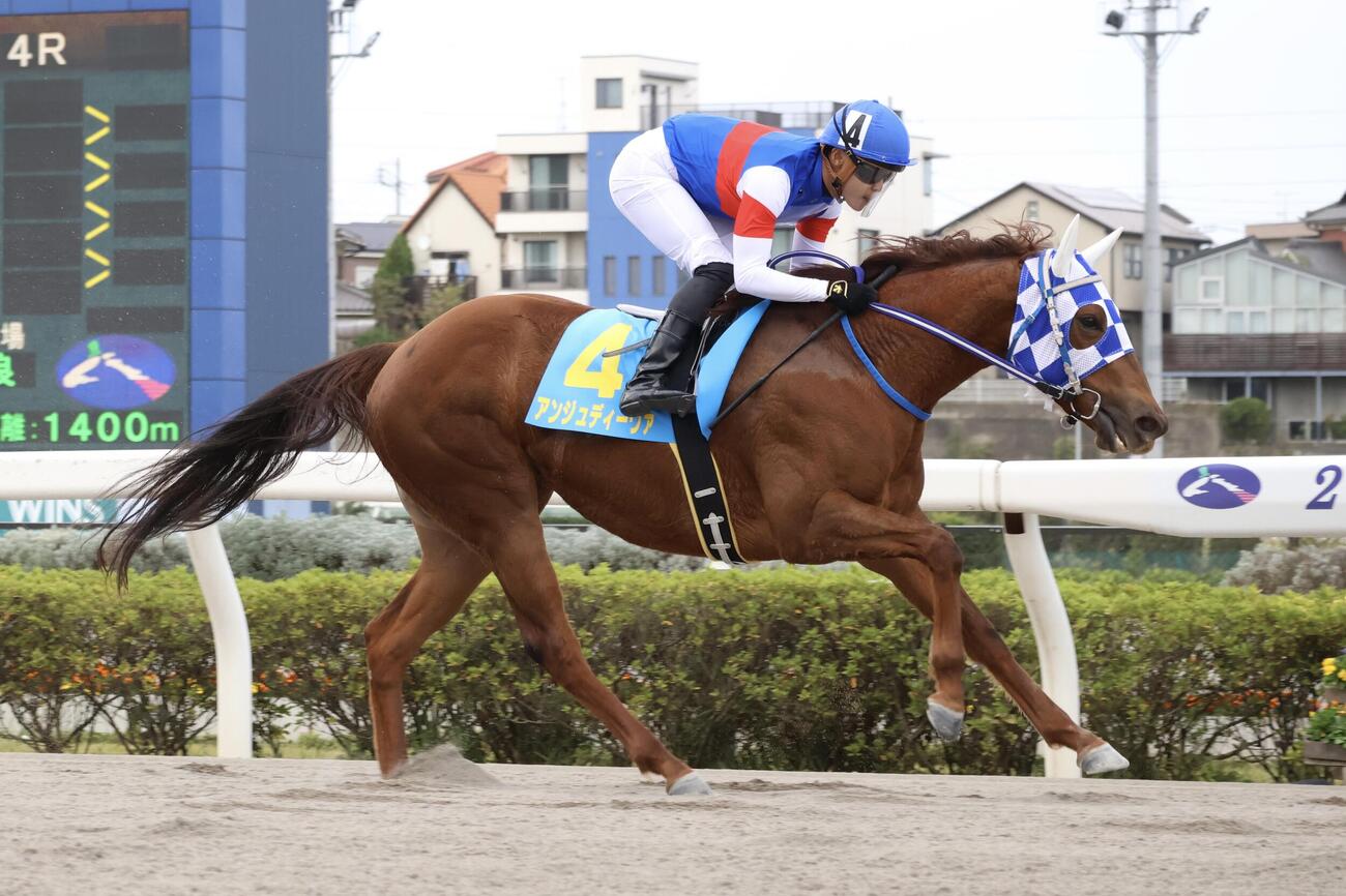 6馬身差の逃げ切りで新馬戦を制したアンジュディーヴァと野畑凌騎手