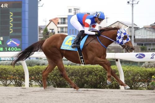 6馬身差の逃げ切りで新馬戦を制したアンジュディーヴァと野畑凌騎手