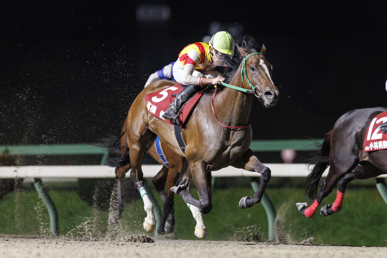 ヴィヴィッドムーンに騎乗してトライアルラウンド盛岡の第2戦を制した大井の高橋優騎手（NAR提供）