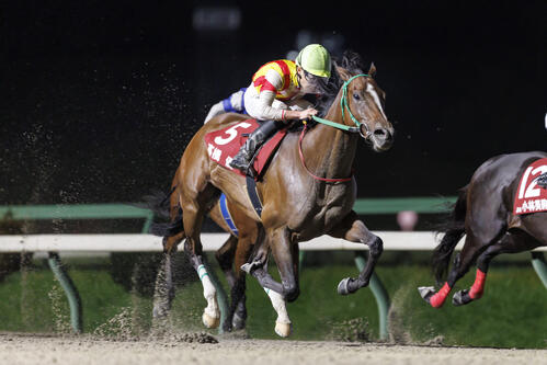 ヴィヴィッドムーンに騎乗してトライアルラウンド盛岡の第2戦を制した大井の高橋優騎手（NAR提供）